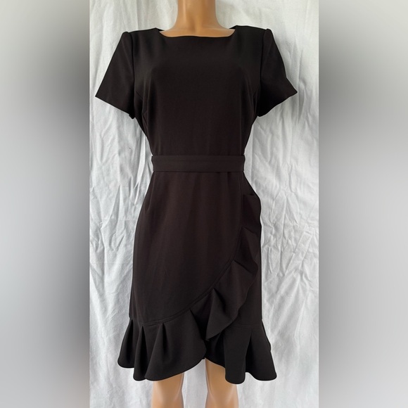 Calvin Klein
Boat Neck Short Sleeve Belted Ruffle Hem Faux Wrap Dress - Picture 9 of 12